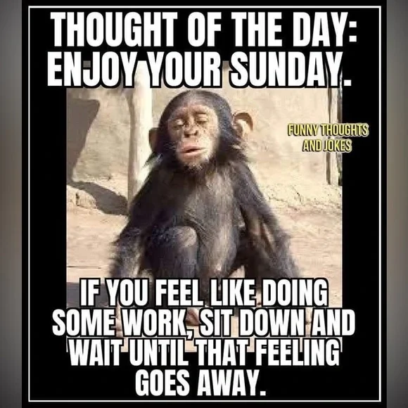 $3 Low Start Show, Have Fun and Get some great bargains ❤️ - Picture 3 of 4